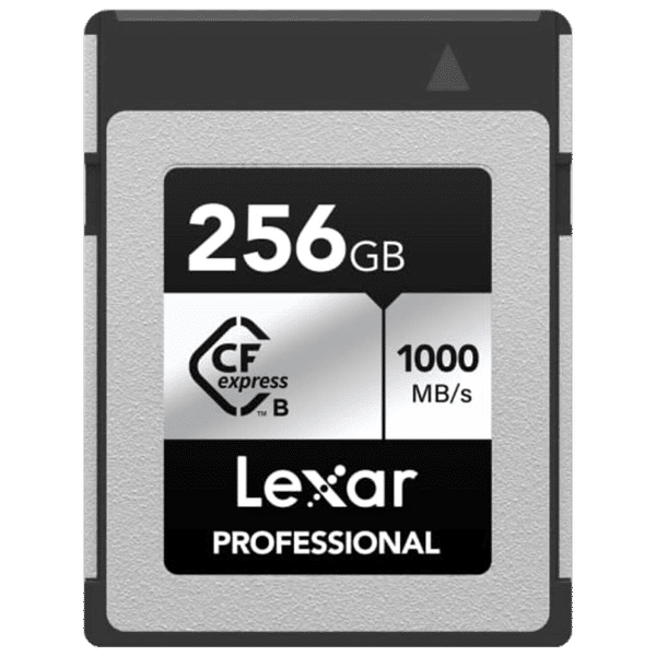 Buy Lexar CFexpress Type B Silver Compact Flash 256GB Memory Card